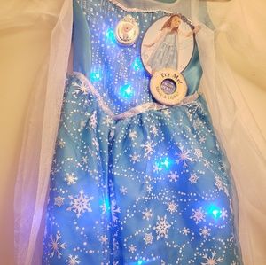 Elsa Frozen Dress Costume